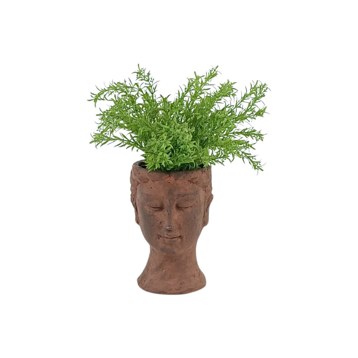 Filler Green Bush in Roman Head Vase