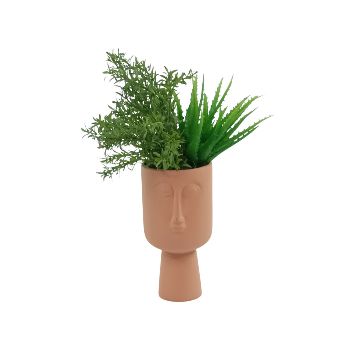 Filler Bush & Succulent in Terracotta Face Pot