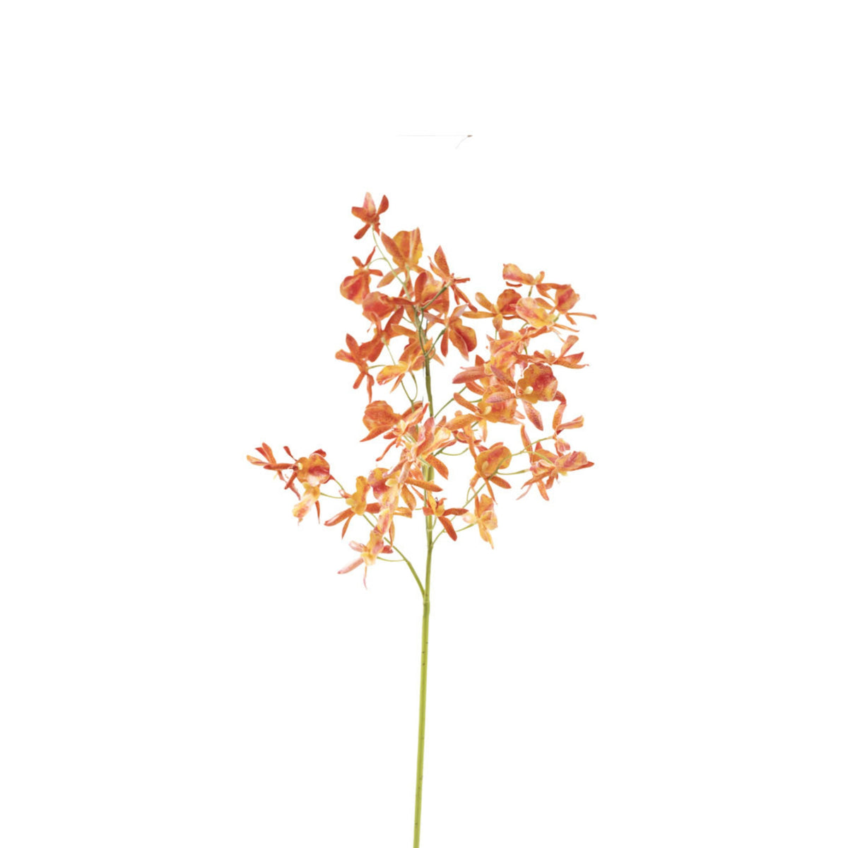 Oncidium Orchid Orange Red Stem- 90cm