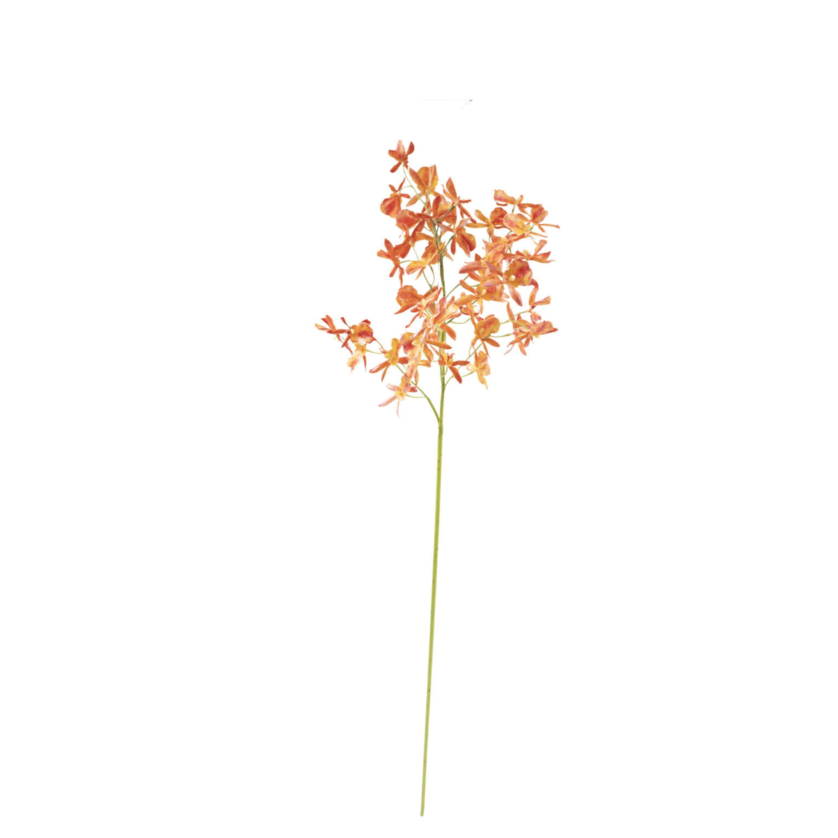 Oncidium Orchid Orange Red Stem- 90cm