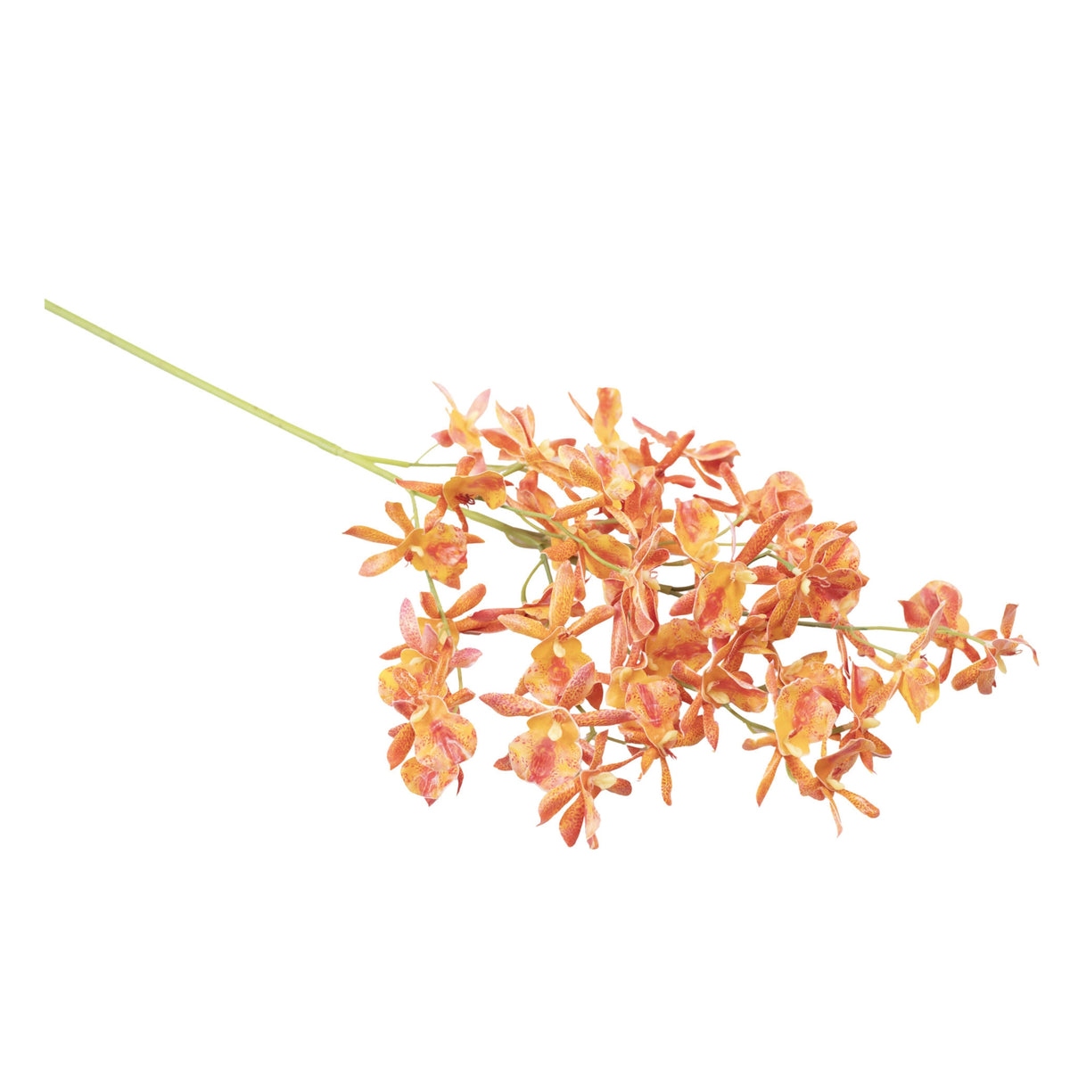 Oncidium Orchid Orange Red Stem- 90cm