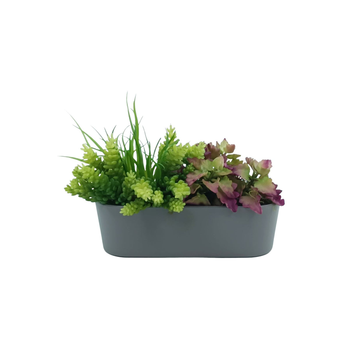 Succulent Mix in Plastic Rectangular Planter