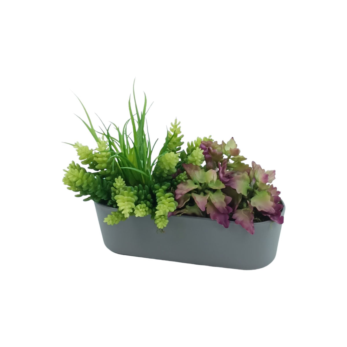 Succulent Mix in Plastic Rectangular Planter