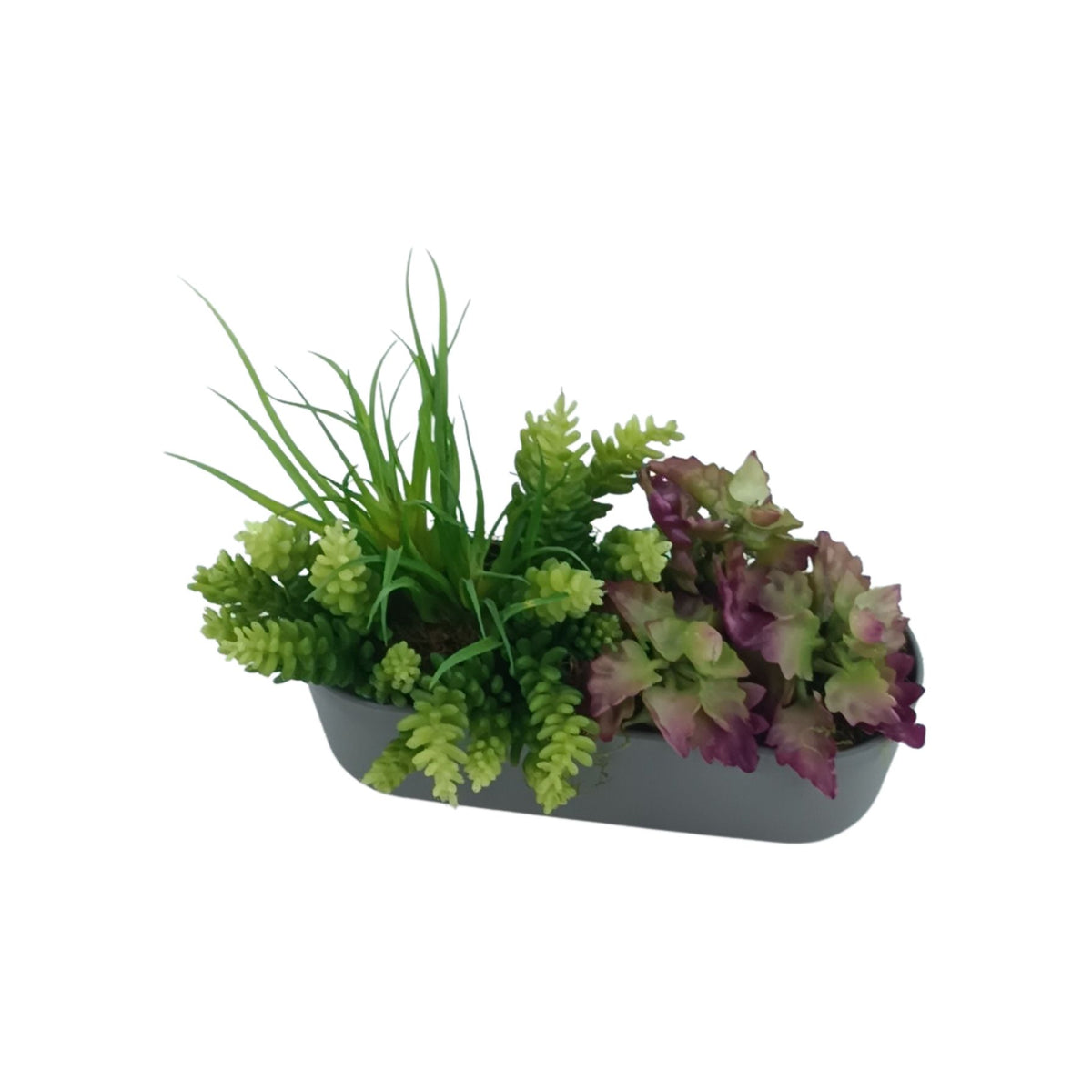 Succulent Mix in Plastic Rectangular Planter