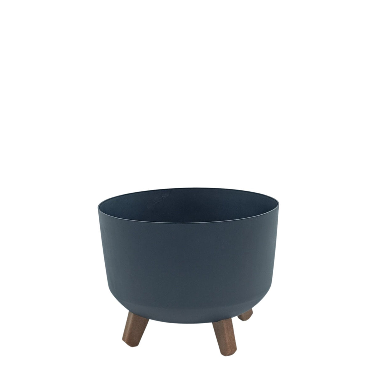 Calathea in Black Plastic Pot with Legs