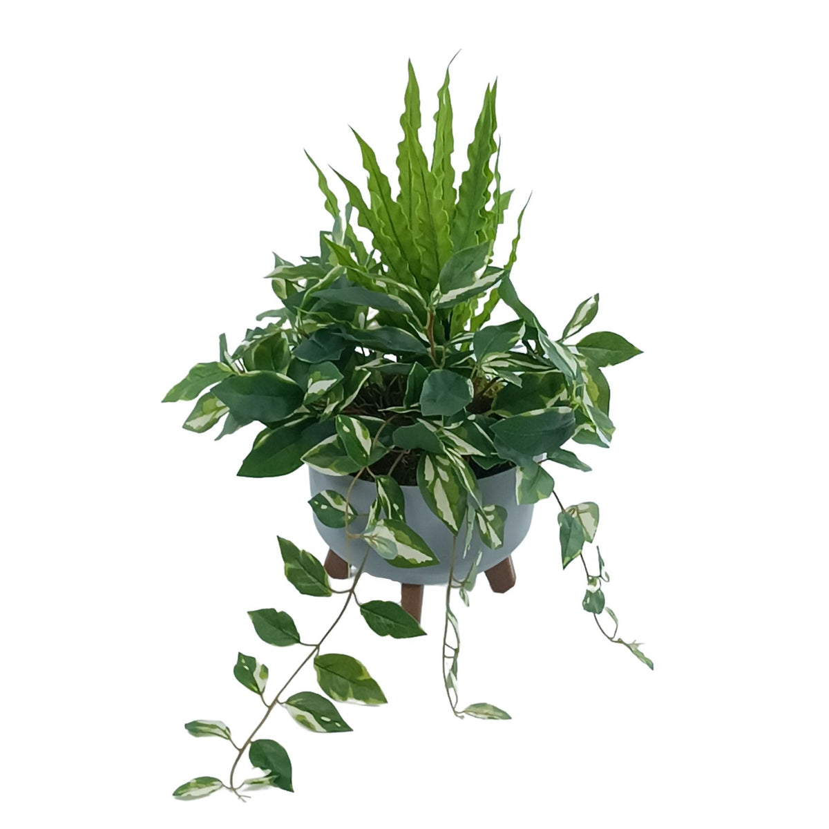 Foliage in Grey Plastic Pot with Legs