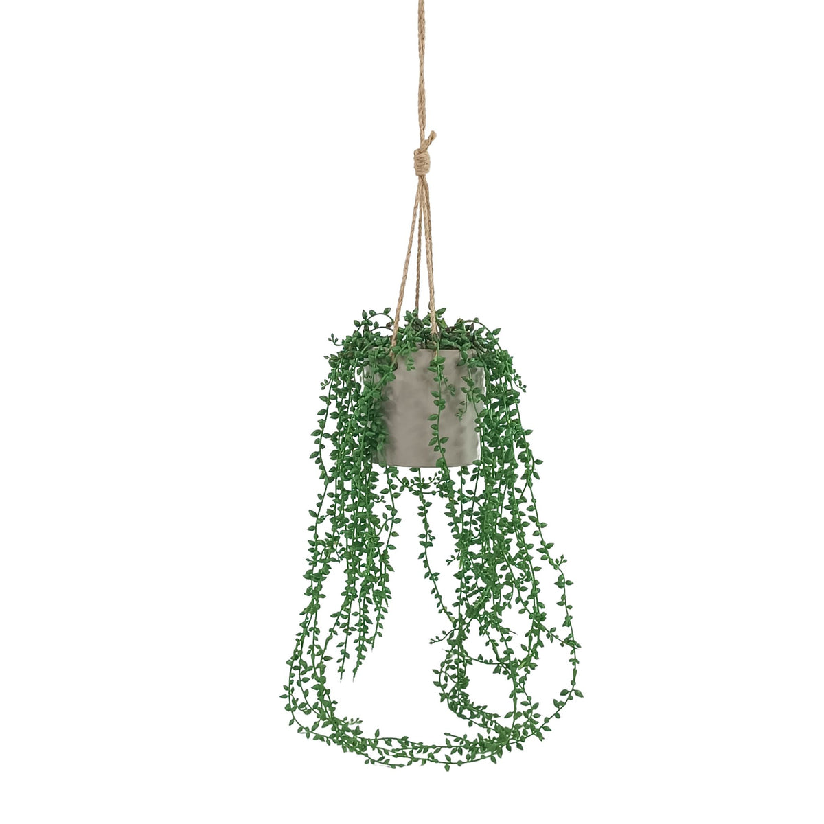 Seedvine in Stone Ceramic Hanging Pot