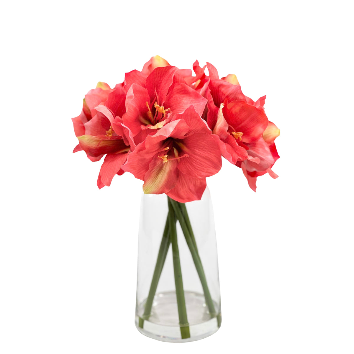 Amaryllis Coral in Glass Vase