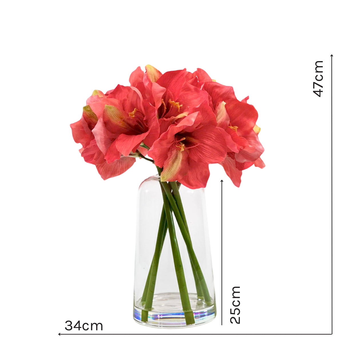 Amaryllis Coral in Glass Vase