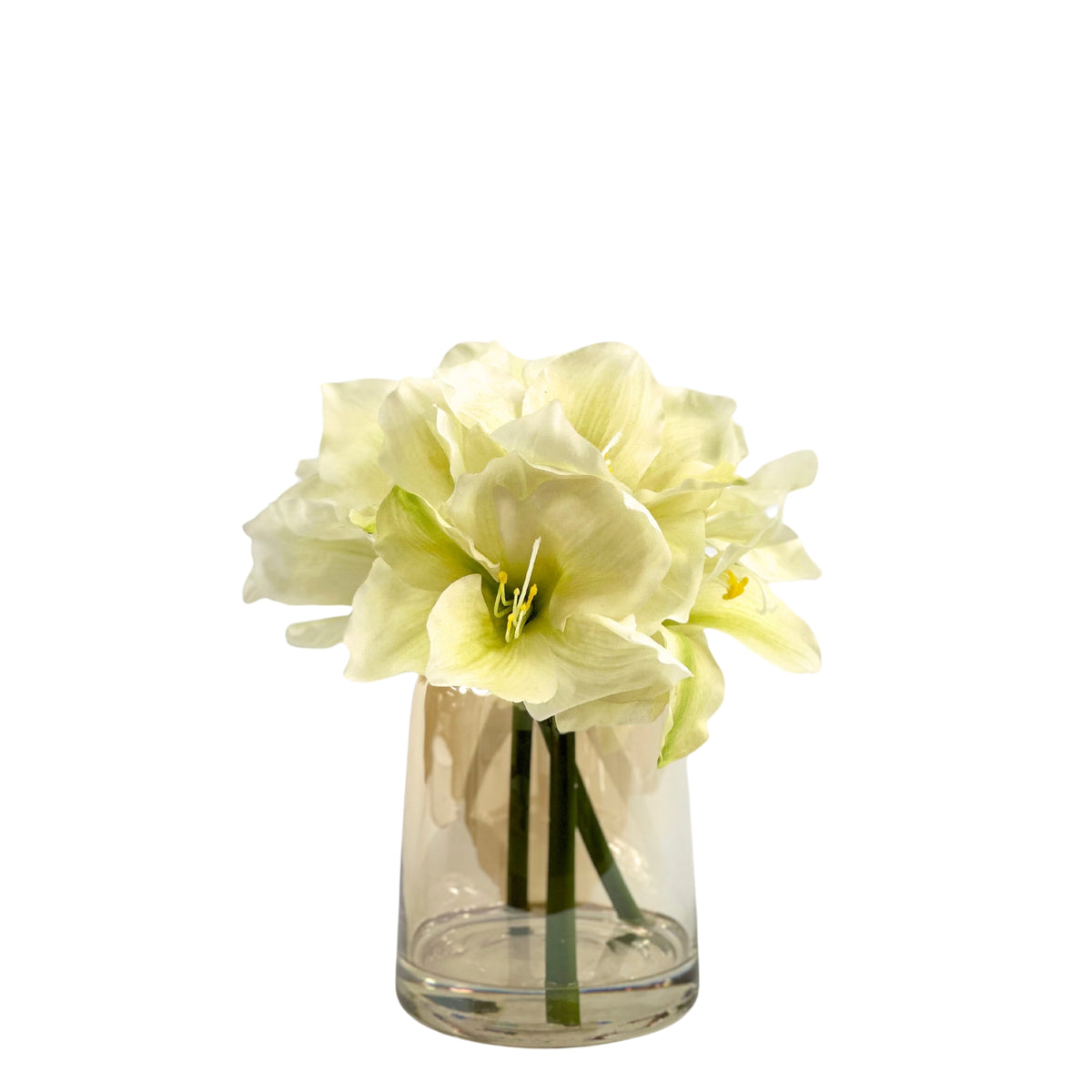 Amaryllis White in Small Glass Vase