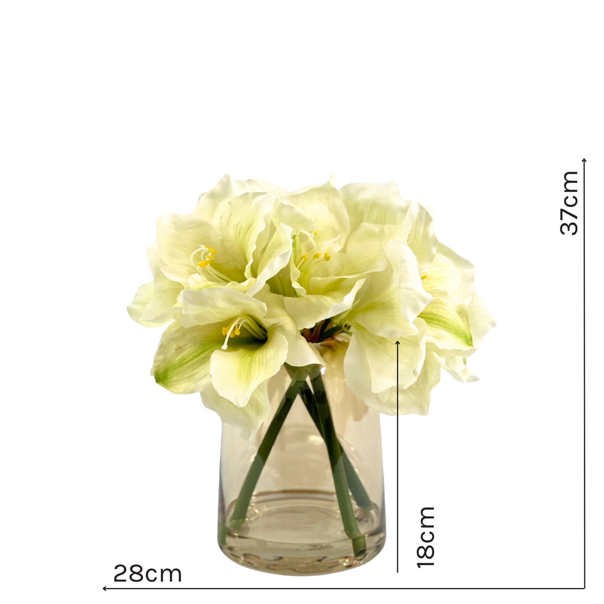 Amaryllis White in Small Glass Vase