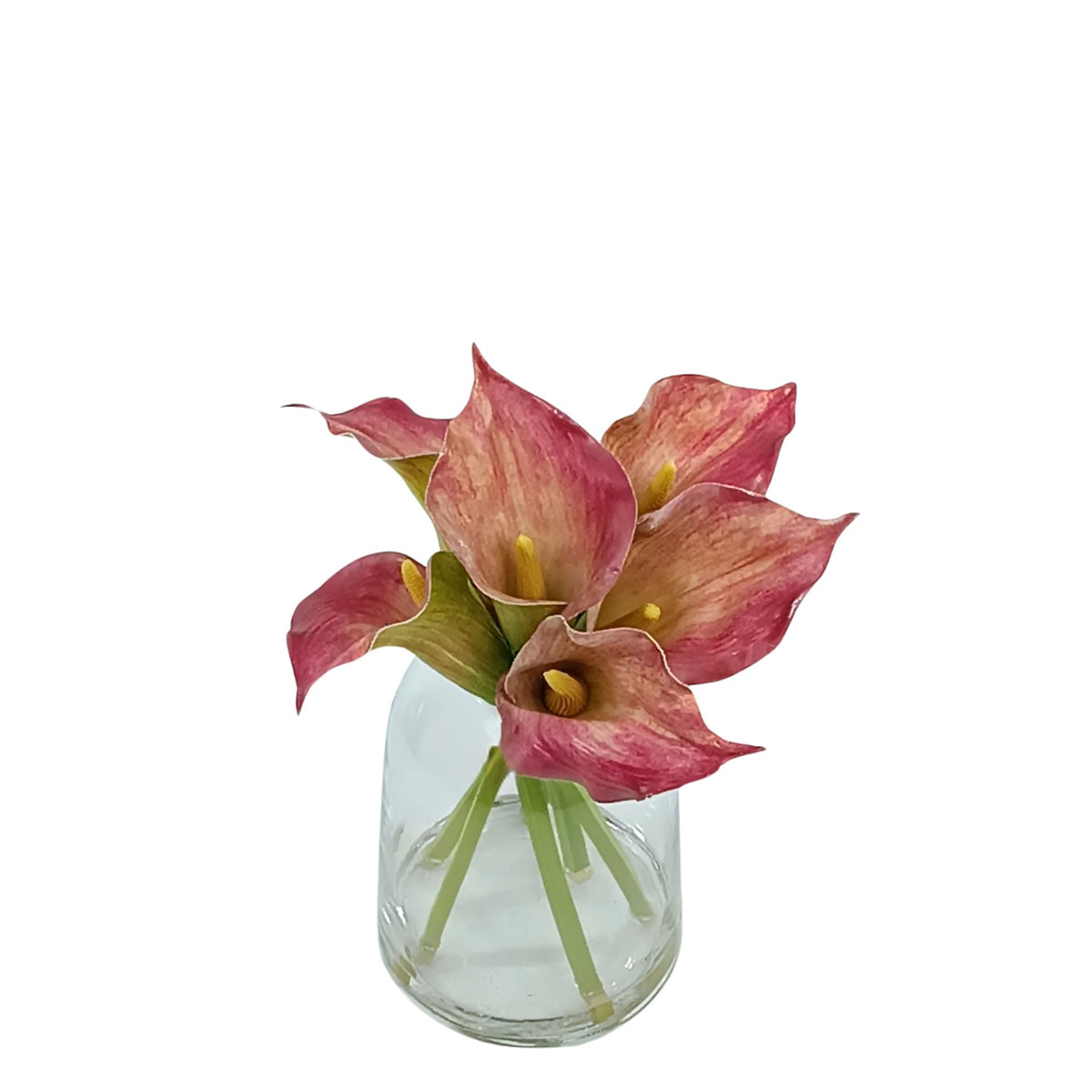 Arum Lily Pink Green Arrangement in Small Glass Vase