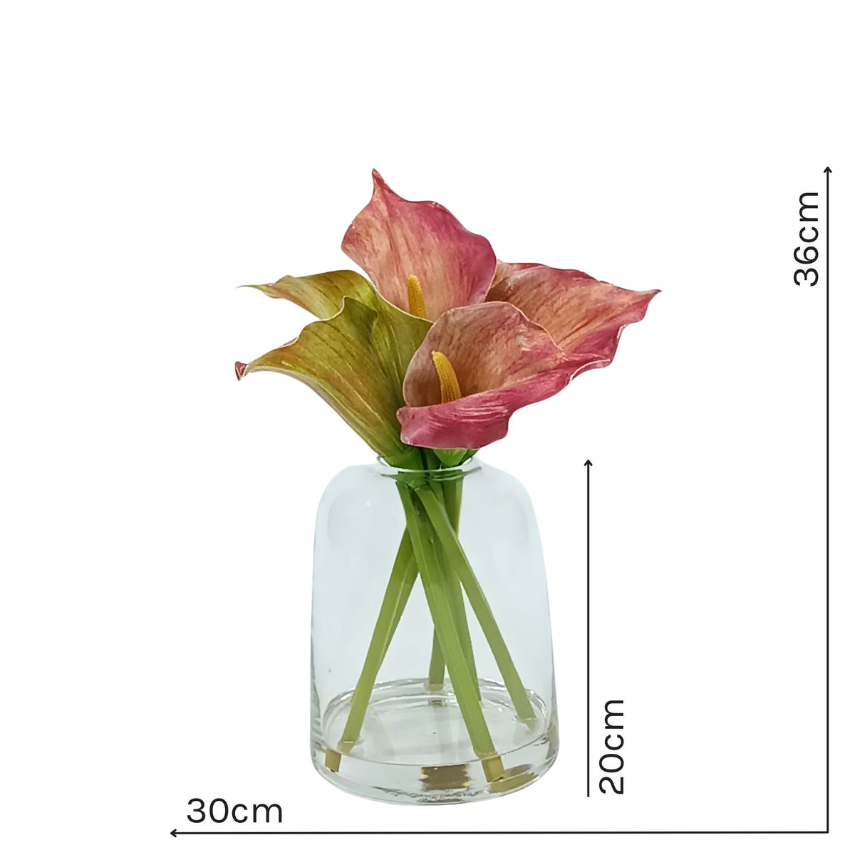 Arum Lily Pink Green Arrangement in Small Glass Vase