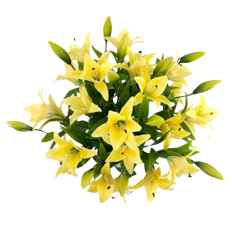 Tiger Lillies Yellow Silk Flower Arrangement in Glass Barrel Vase. Full top view. Available from www.plantcouture.co.za