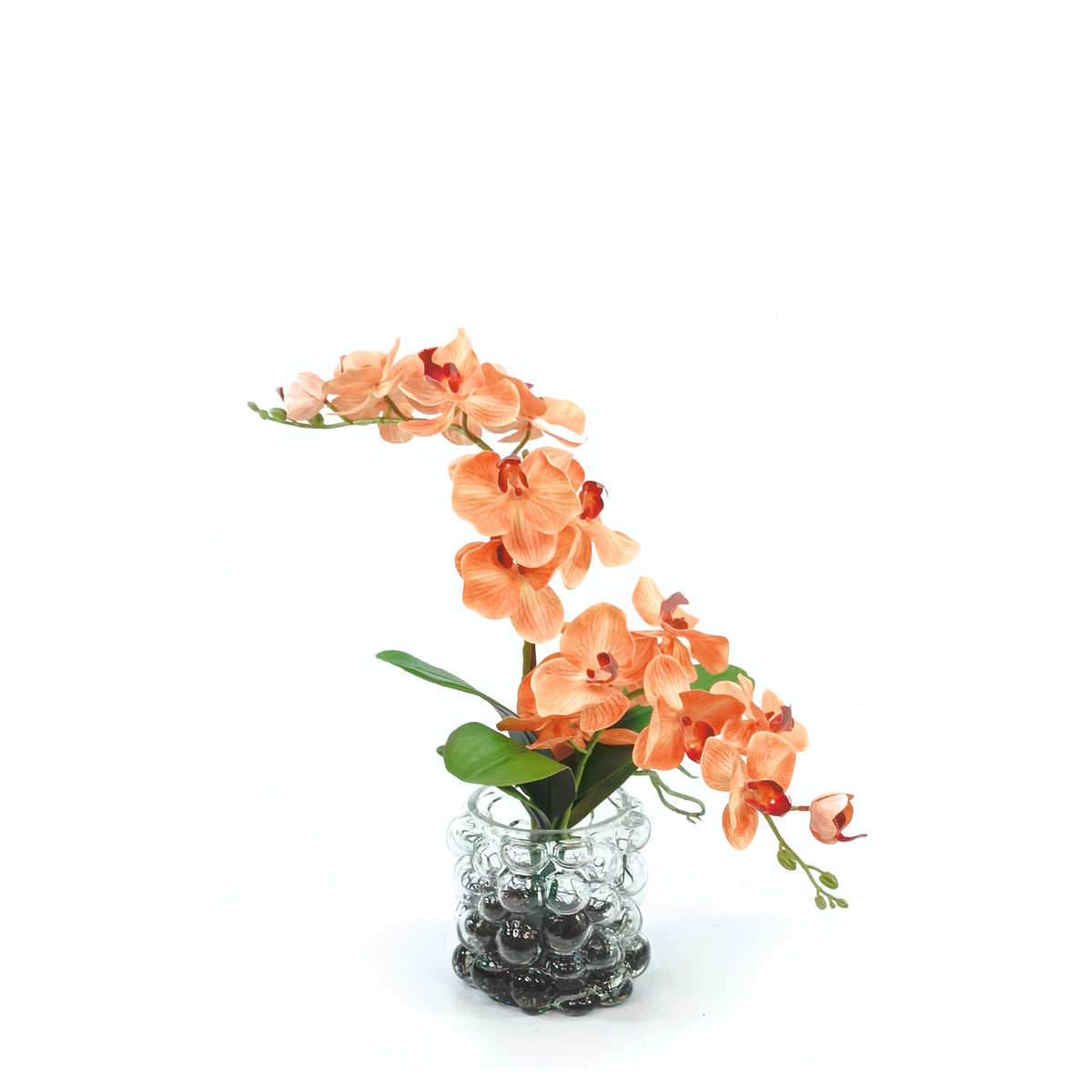 Orchid Orange 95cm In Small Bubble Vase