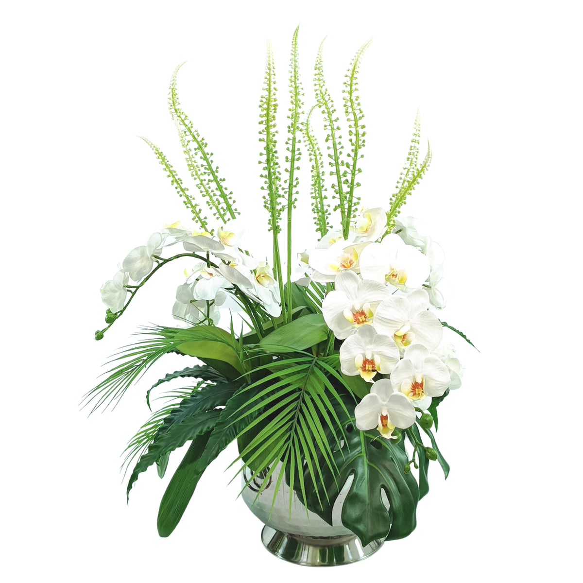 Phalaenopsis Orchid Arrangement White in Large Silver Tin