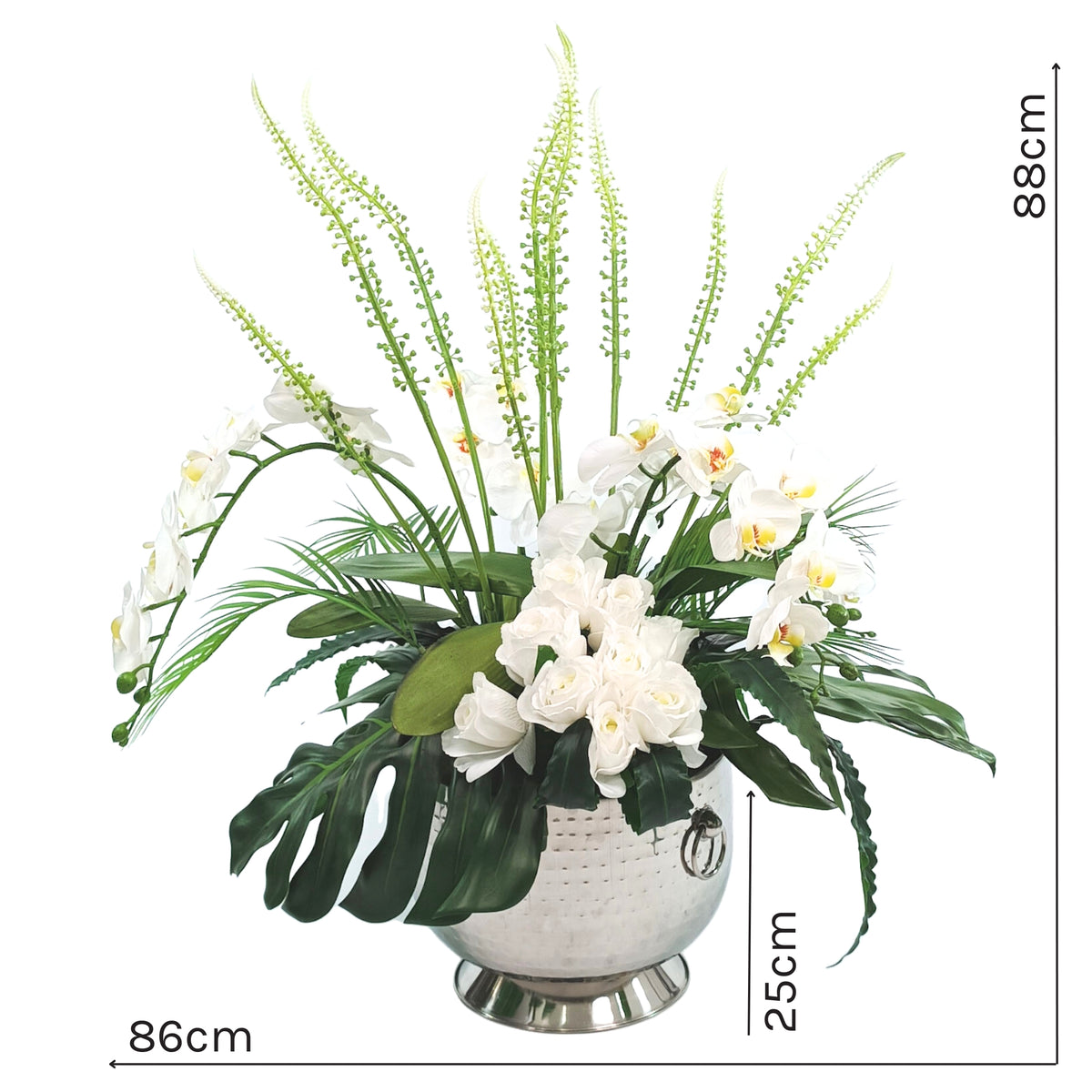 Phalaenopsis Orchid Arrangement White in Large Silver Tin