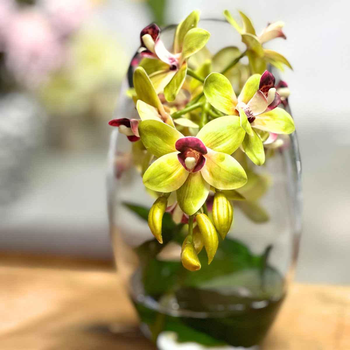 Cymbidium Orchid Green In Slanted Glass Vase