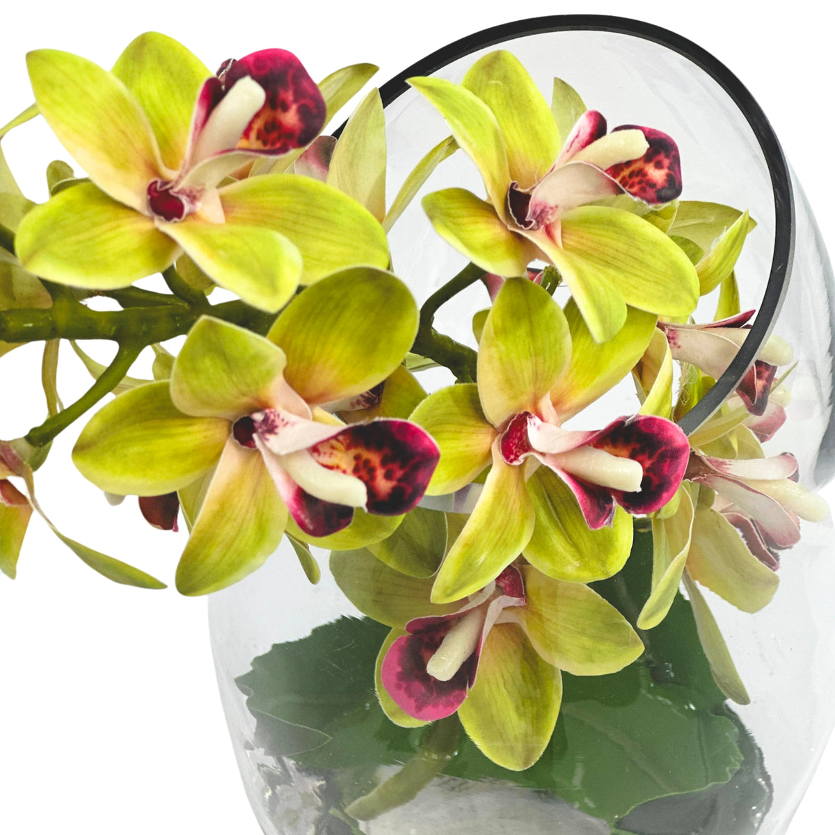 Cymbidium Orchid Green In Slanted Glass Vase