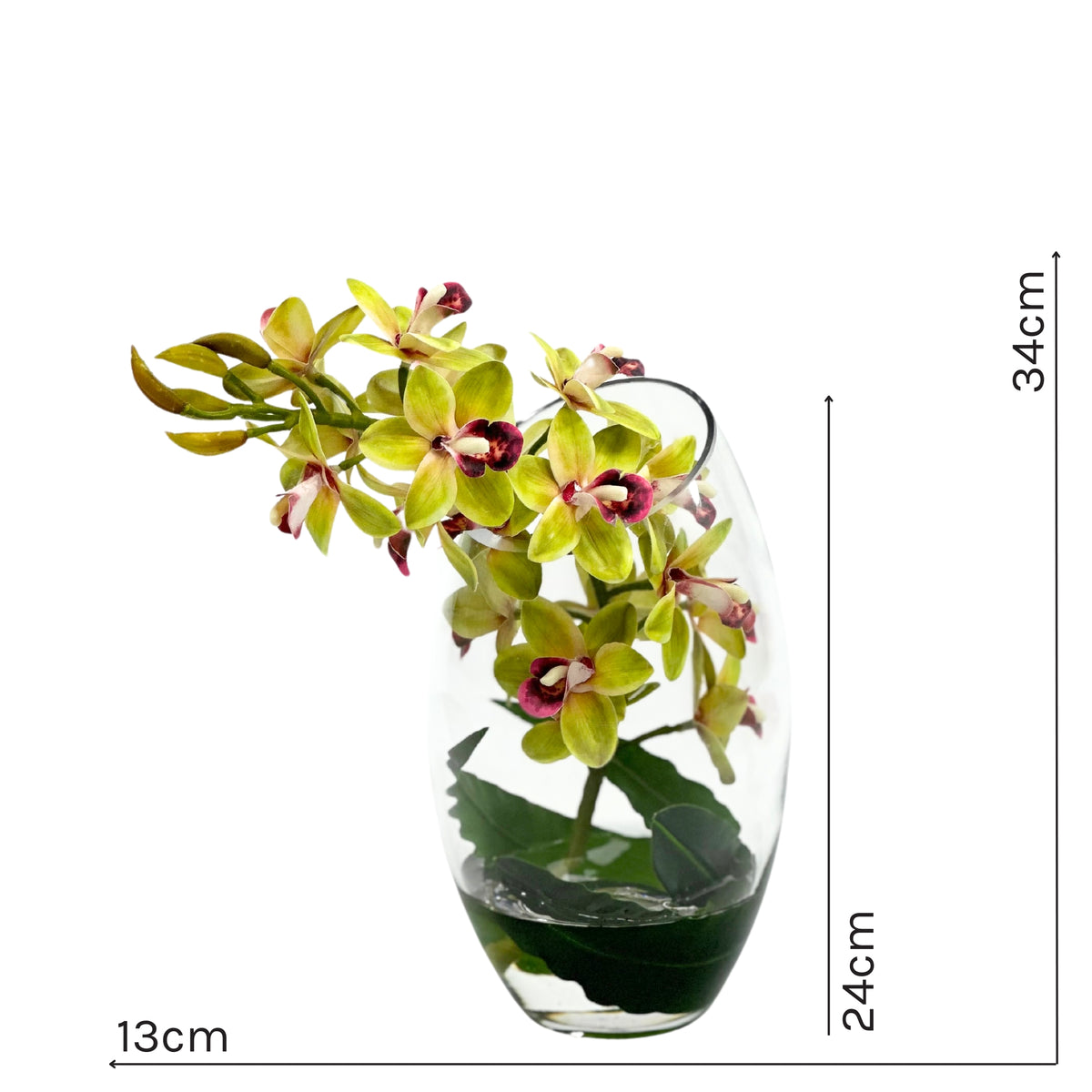 Cymbidium Orchid Green In Slanted Glass Vase