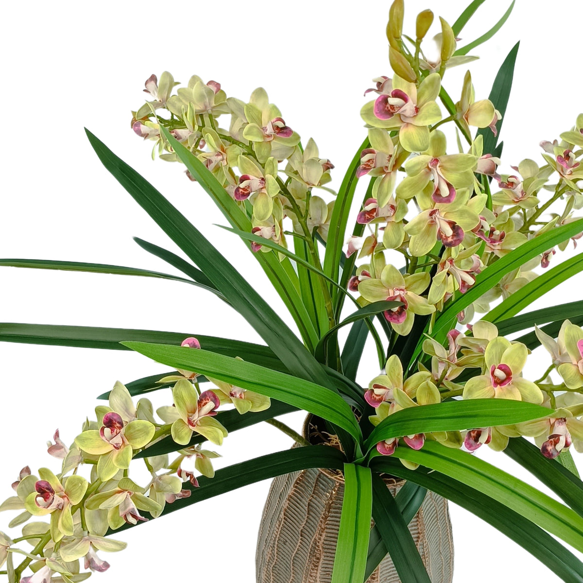 Cymbidium Orchid Green in Gold Bullet Tin Vase