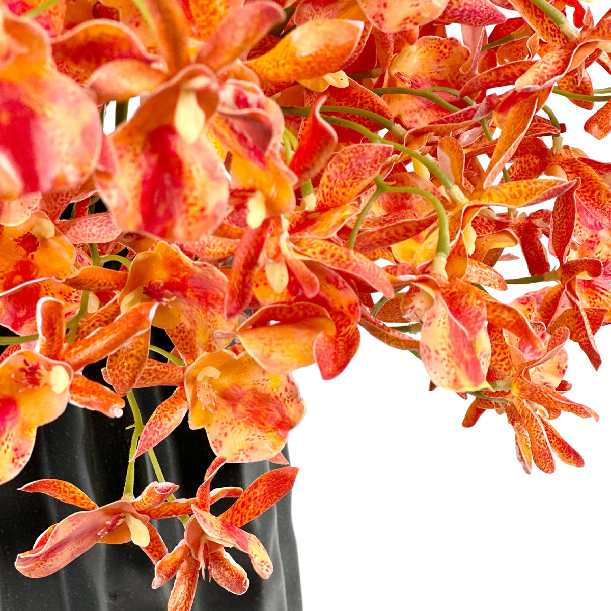 Oncidium Orange Arrangement in Black Ceramic Vase