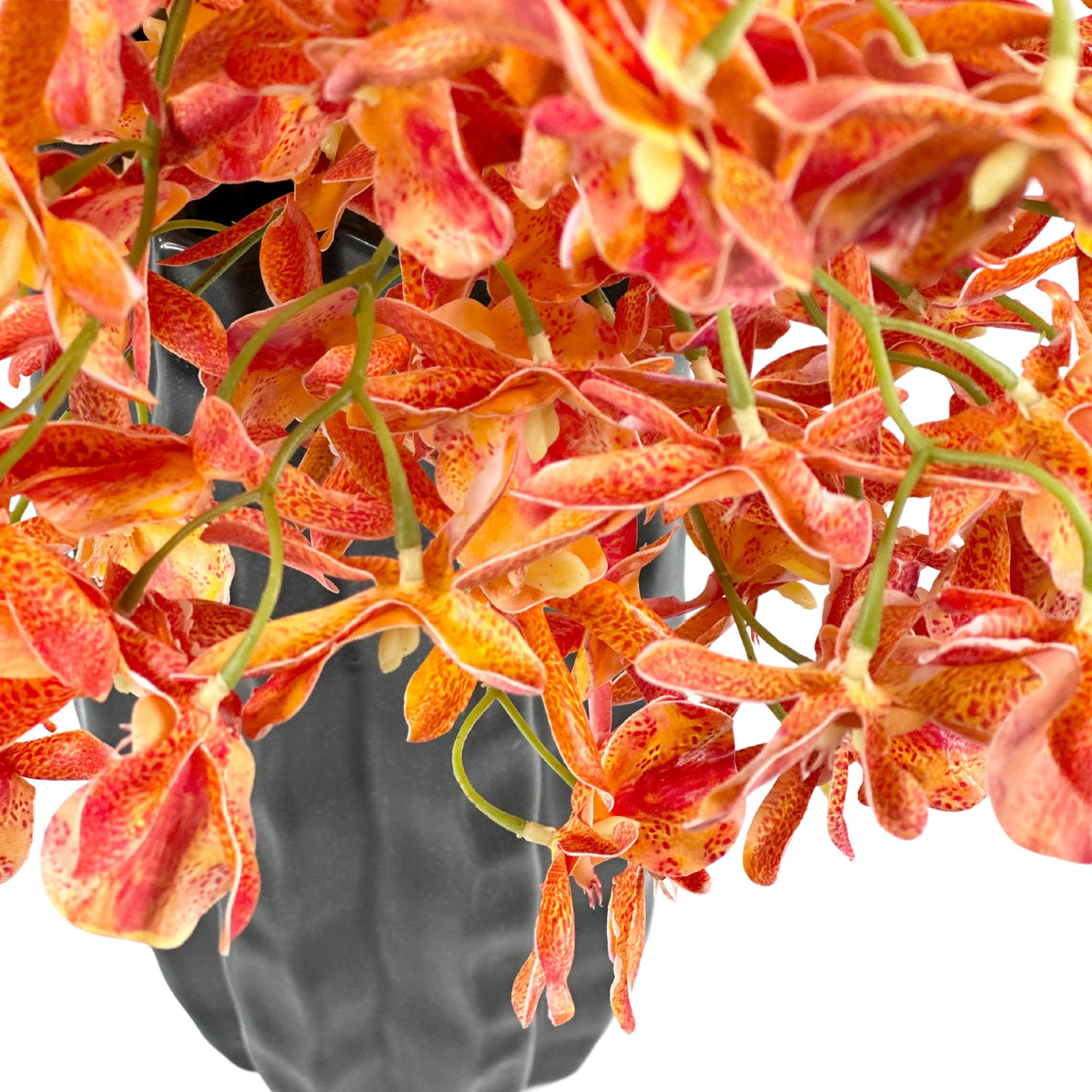 Oncidium Orange Arrangement in Black Ceramic Vase