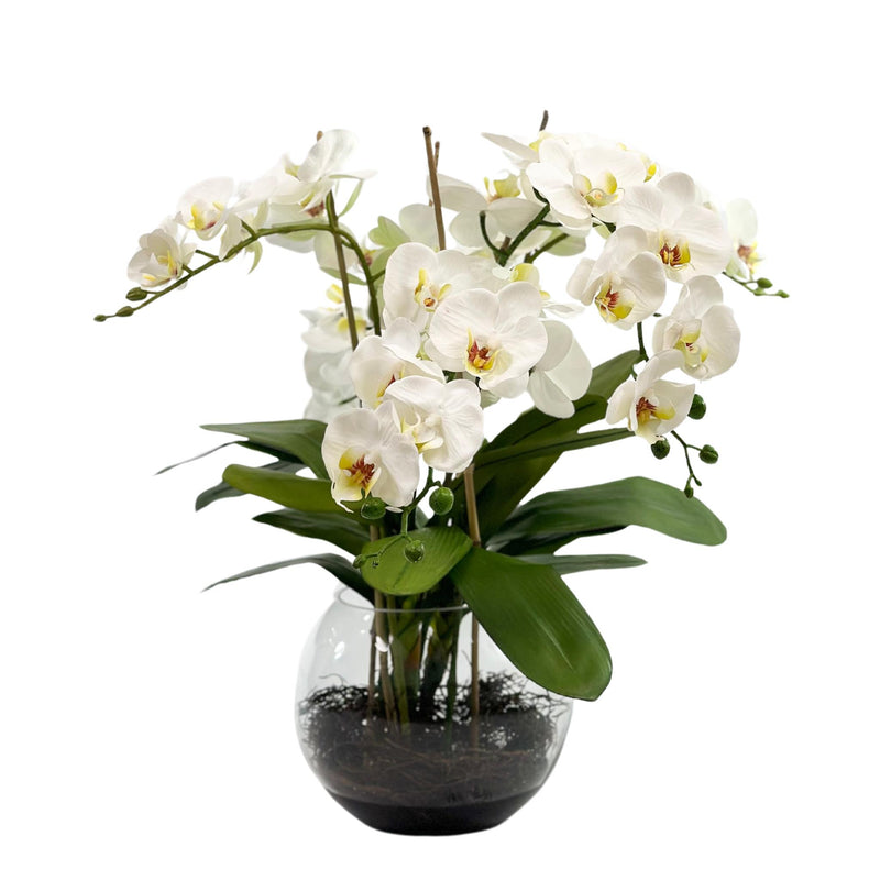 Phalaenopsis Orchid White Silk Flower Arrangement. Front view. www.plantcouture.co.za