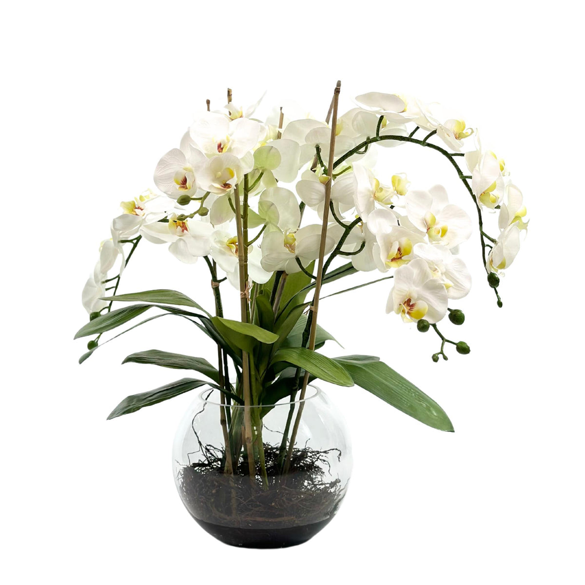 Phalaenopsis Orchid White Silk Flower Arrangement. Front view. www.plantcouture.co.za