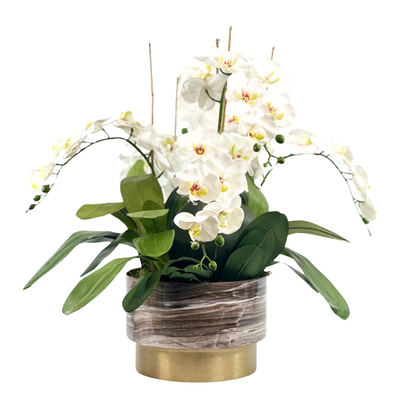 Orchids White in Gold Brown Planter from Plant Couture