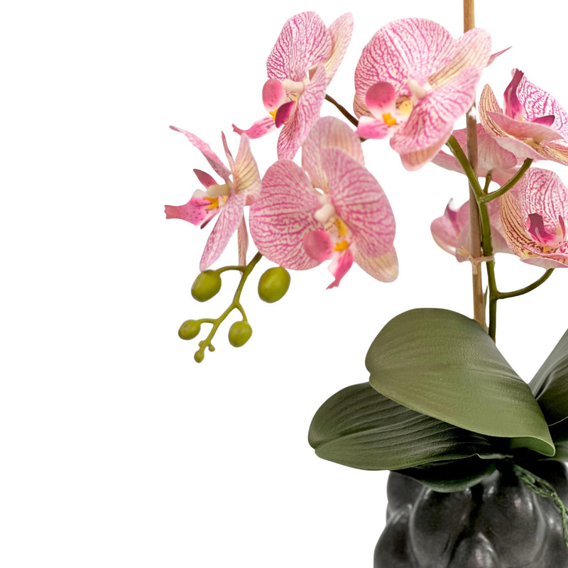 Phalenopsis Pink in Black Organic Ceramic Vase. Silk Flower arrangement front close up view. Purchase from www.plantcouture.co.za