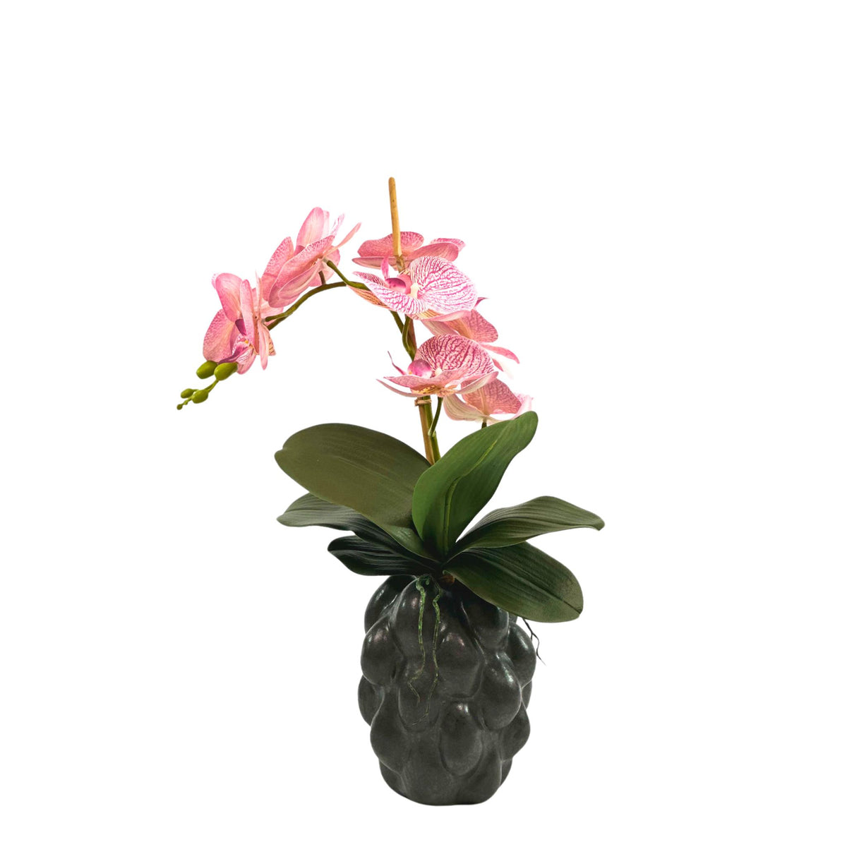 Phalenopsis Pink in Black Organic Ceramic Vase. Silk Flower arrangement front full view. Purchase from www.plantcouture.co.za