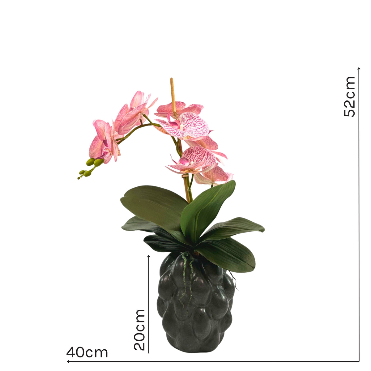 Phalenopsis Pink in Black Organic Ceramic Vase