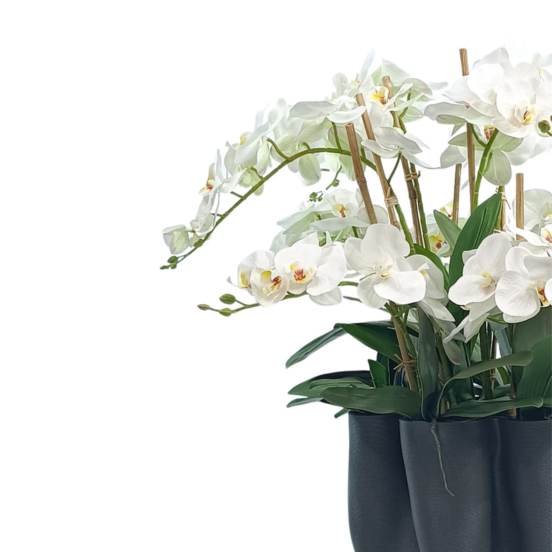 Phalaenopsis Orchids White in Large Black Wavy Ceramic Vase. Side close up view. Purchase silk flower arrangements from www.plantcouture.co.za