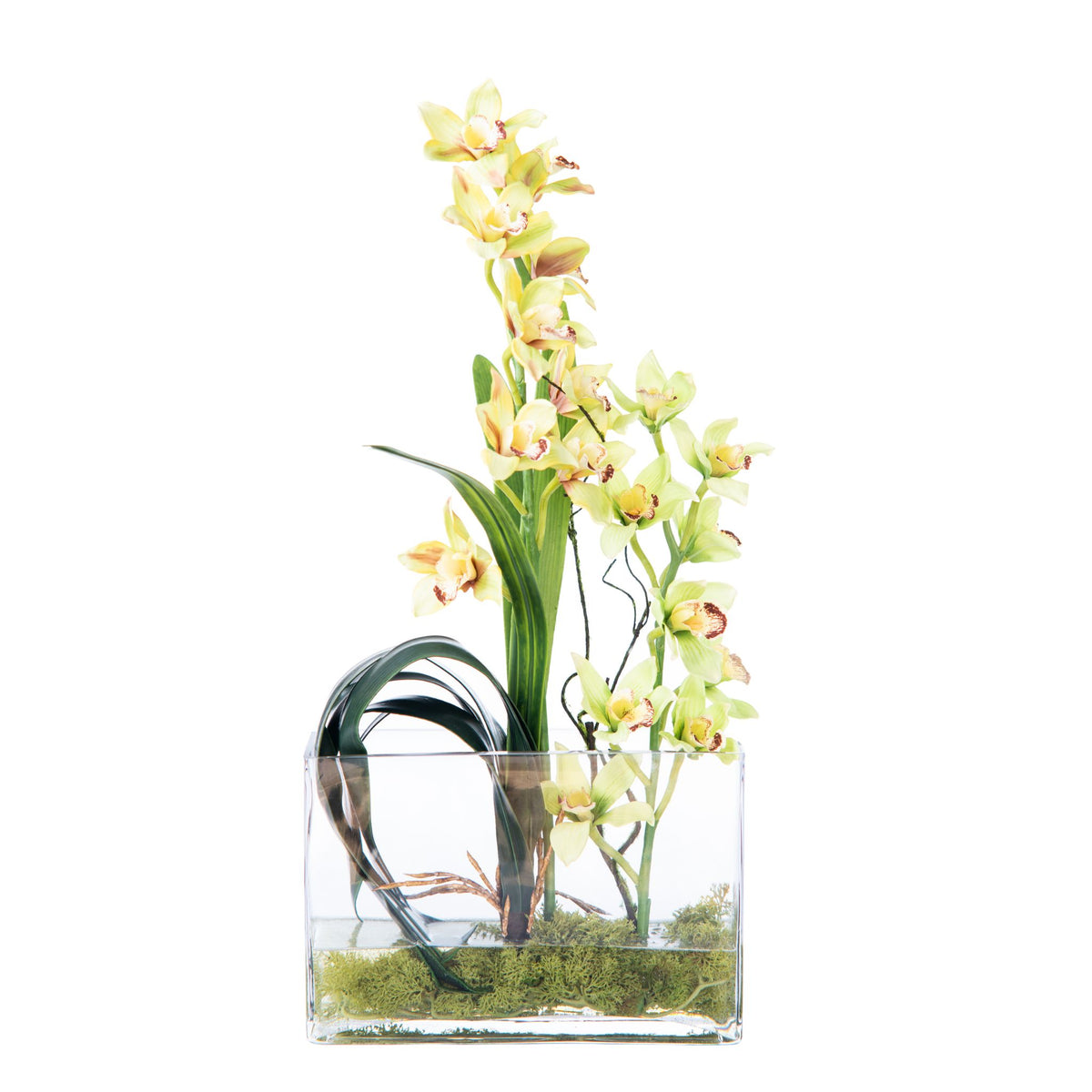 Cymbidium Orchid Arrangement in Rectangular Glass Vase