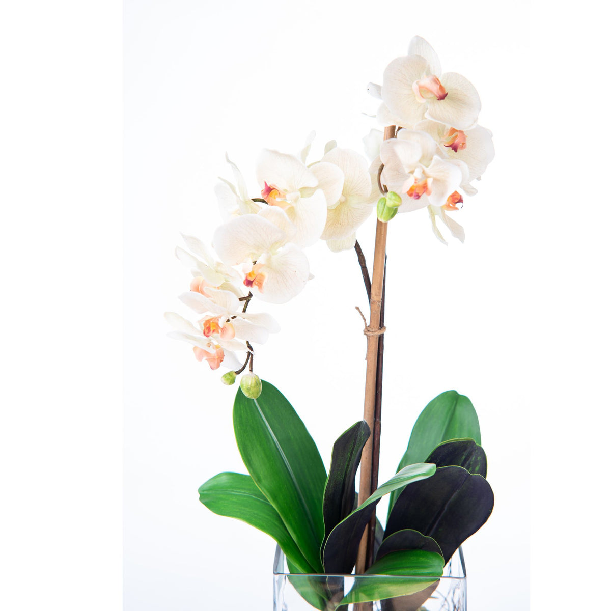 Phalaenopsis Orchid Silk Flower Arrangement in Square Glass Vase. Front close up view.