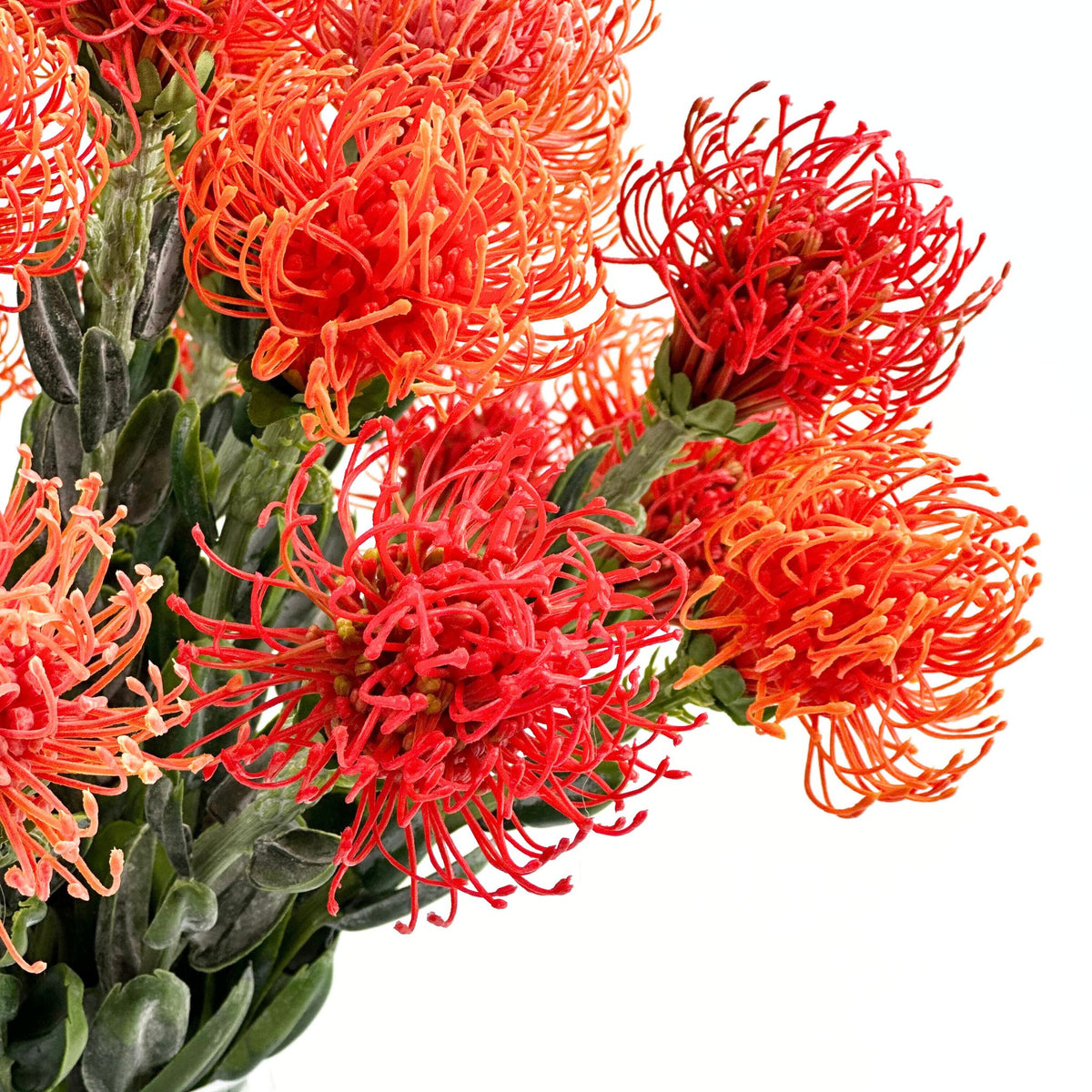 Pincushions Orange in Pyramid Glass Vase. Silk Flower arrangements. Highlighted view. Available from Plant Couture www.plantcouture.co.za