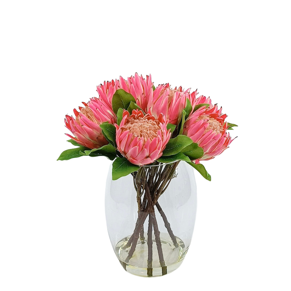 King Protea Pink in Barrel Glass Vase