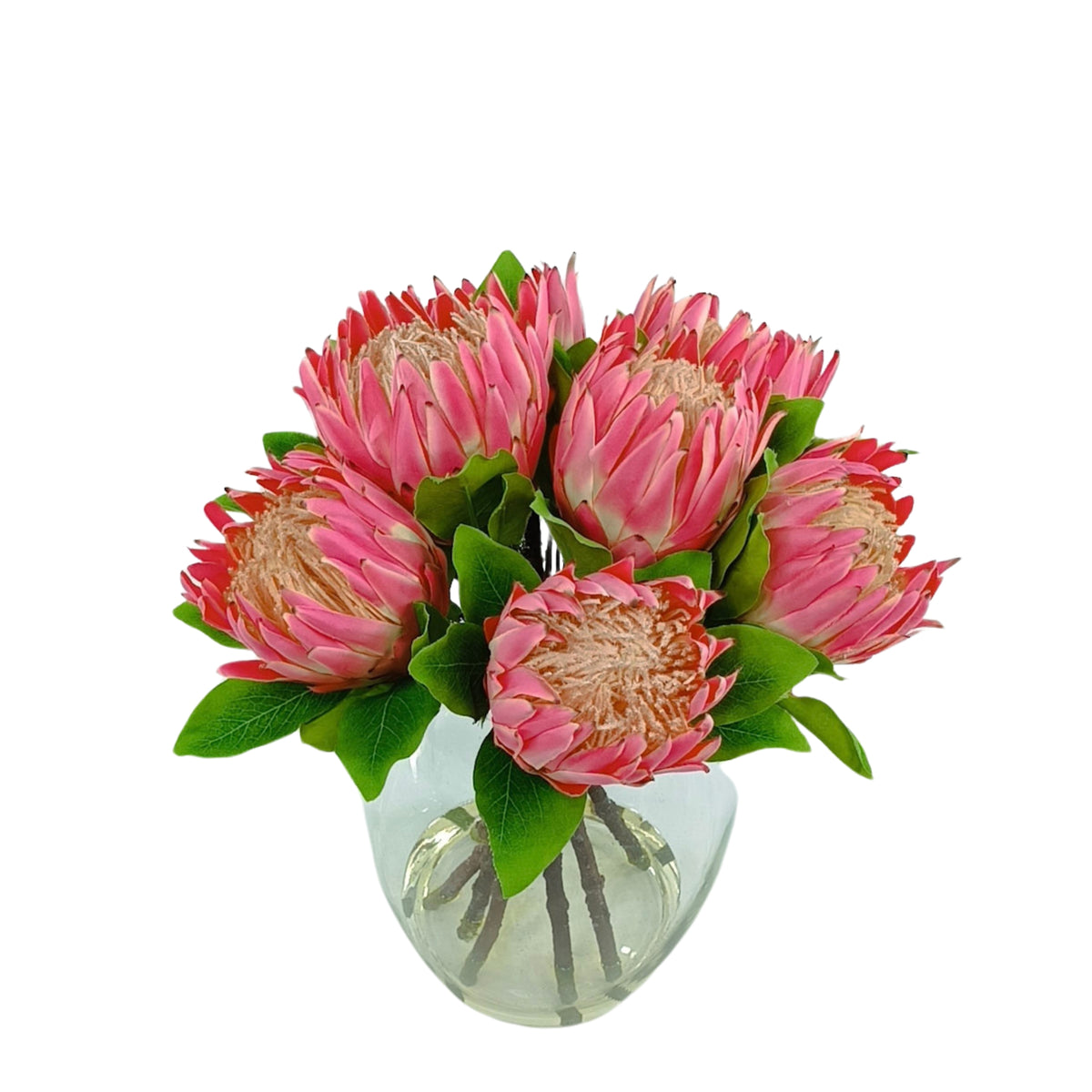 King Protea Pink in Barrel Glass Vase