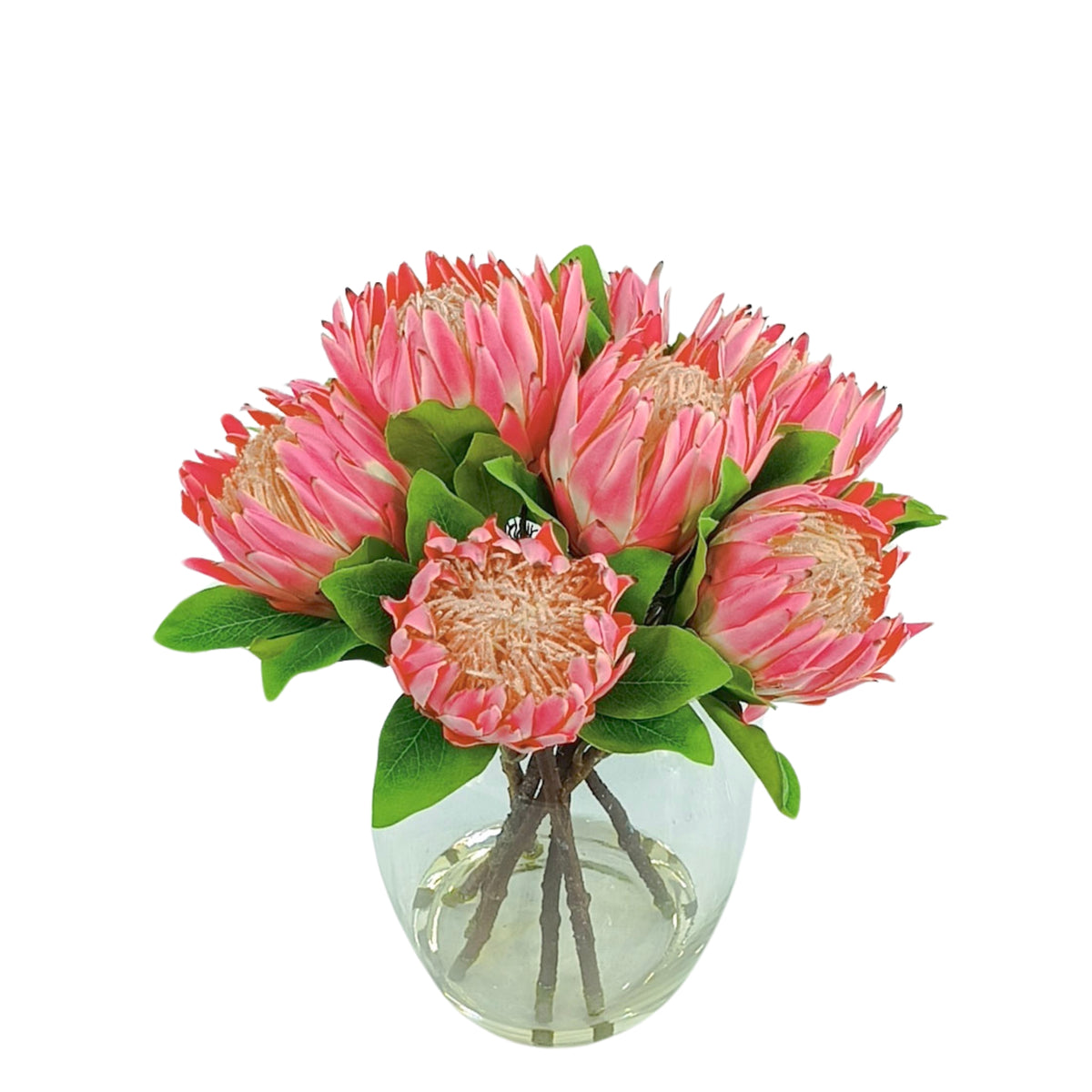 King Protea Pink in Barrel Glass Vase