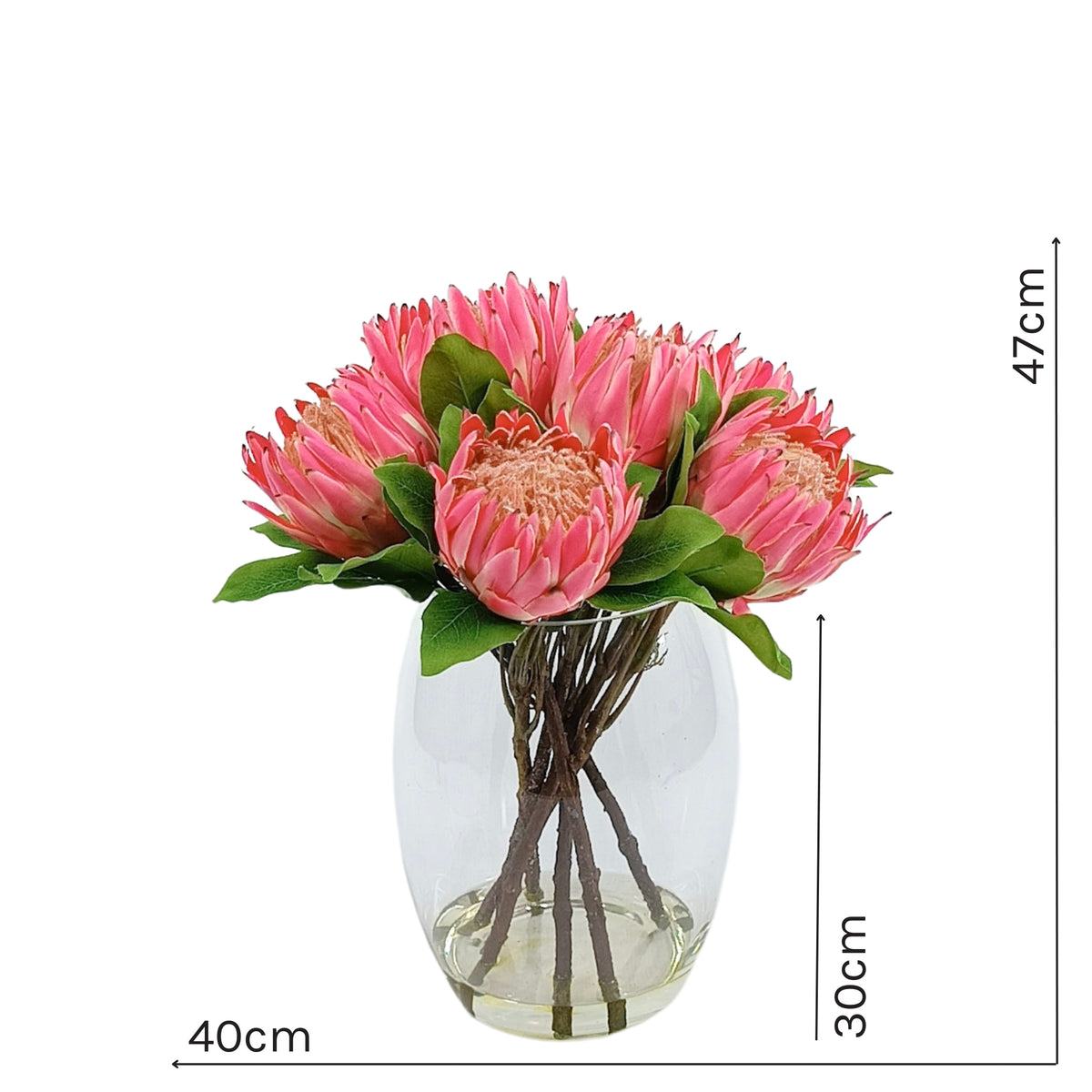 King Protea Pink in Barrel Glass Vase