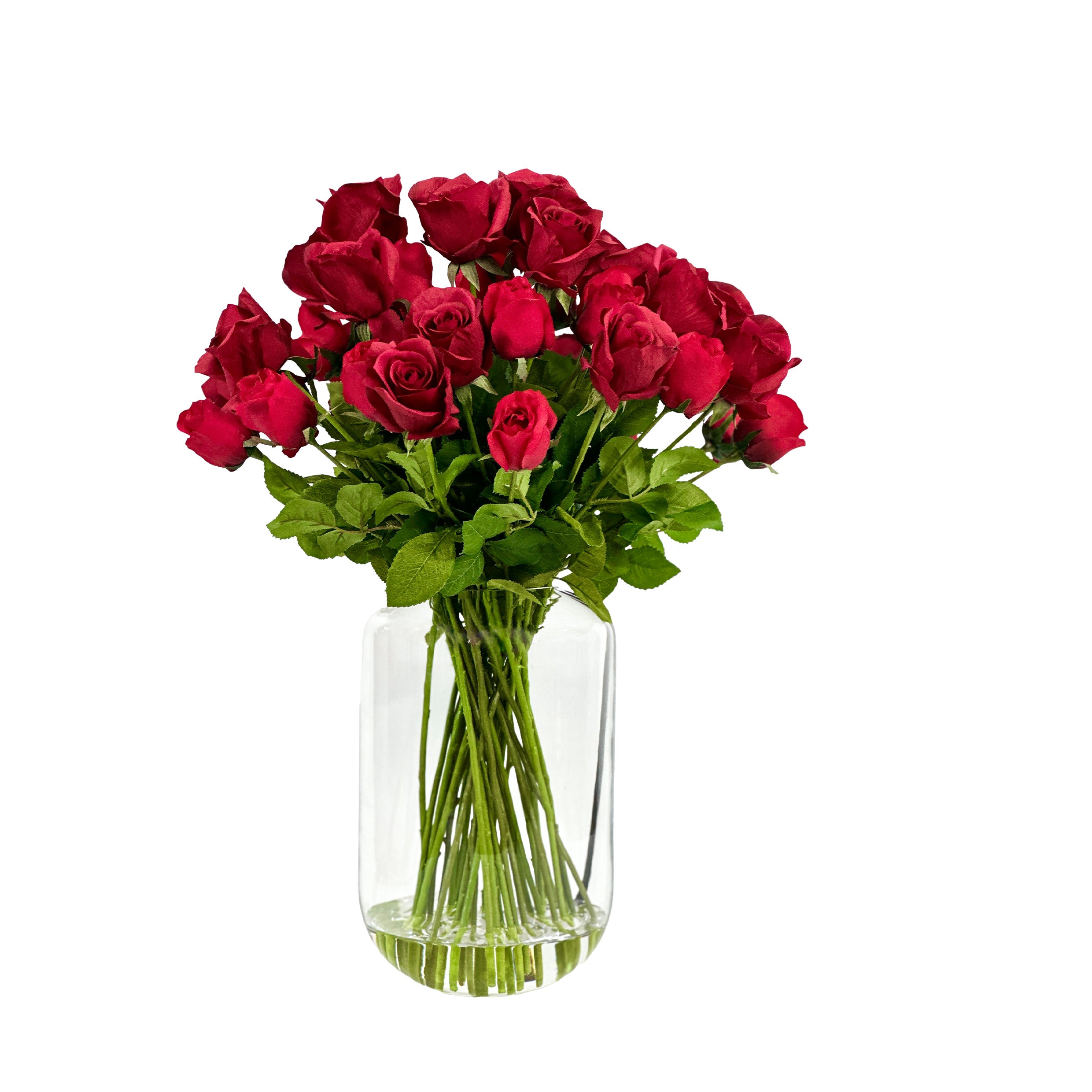 Long-Stemmed Red Rose Flower Arrangement in Glass Vase - Plant Couture