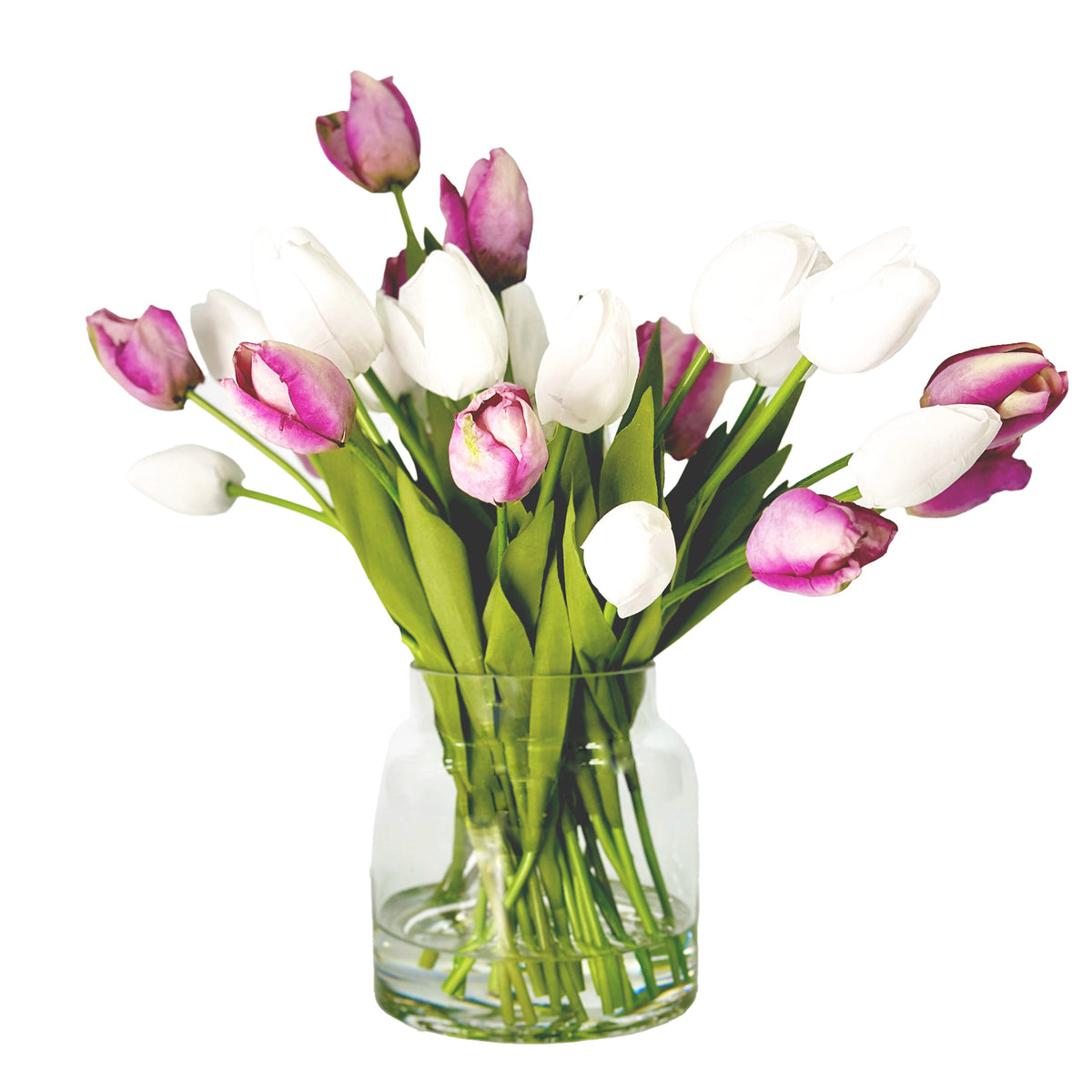 Tulip White Purple Arrangement - Small