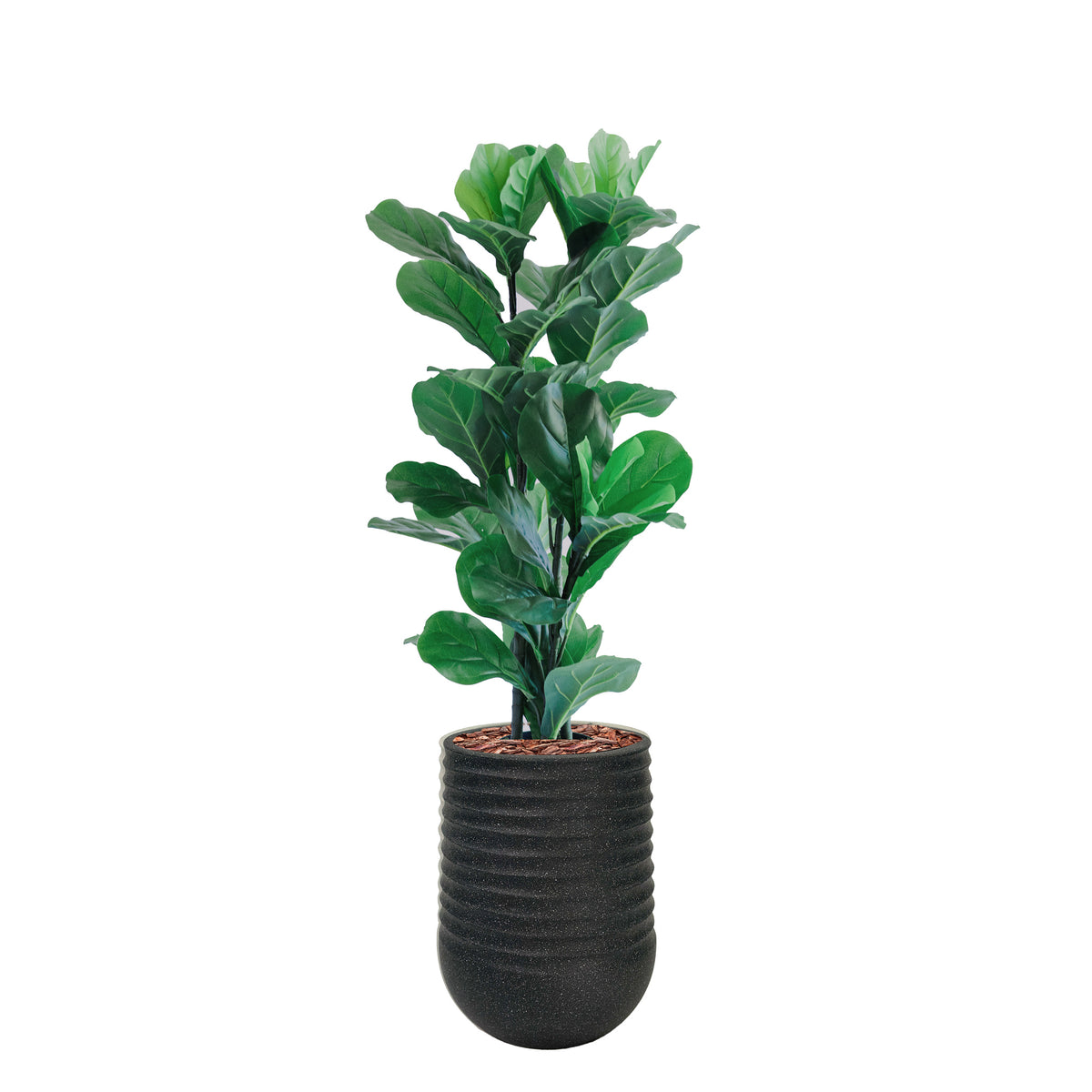 Plant Couture - Artificial Plant & Pot Combo - With Fiddle Leaf Ficus 87cm