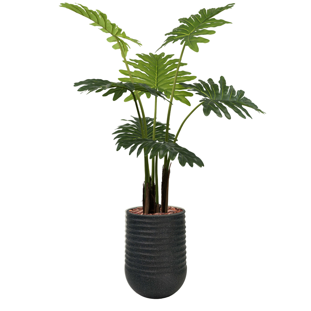 Artimis S Black with Philodendron - 120cm