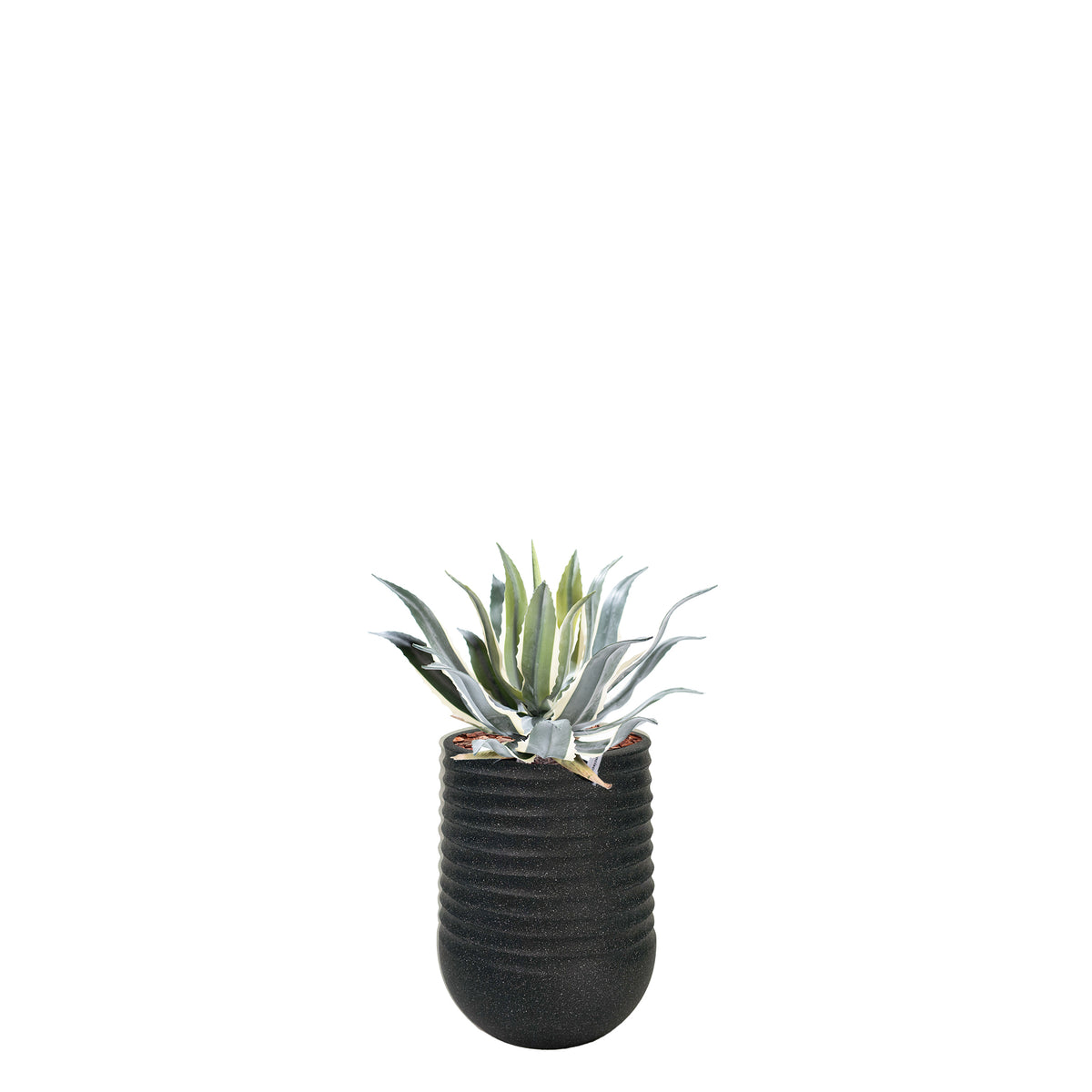 Artimis S Black with Agave - 45cm