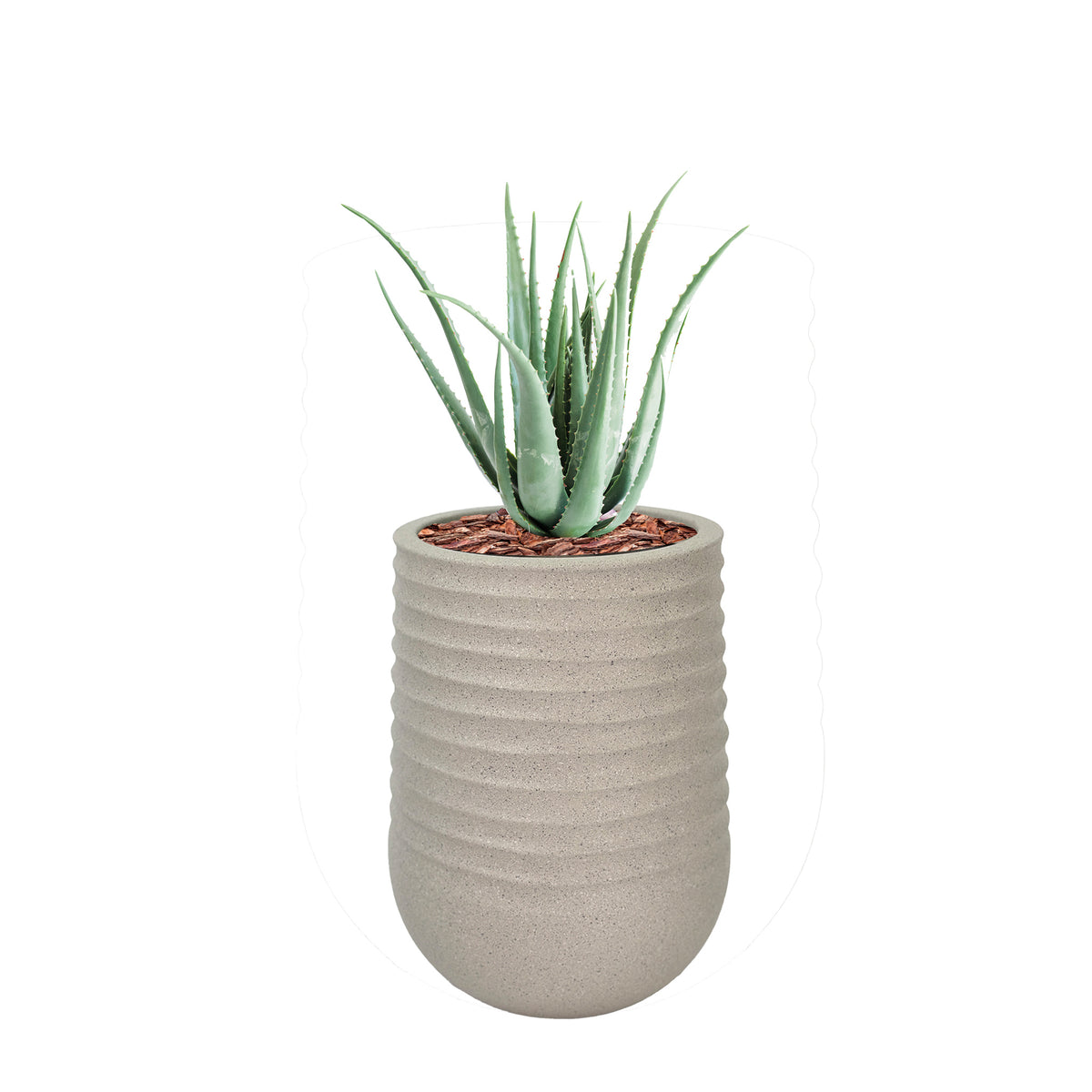 Artimis L Beige with Aloe - 70cm