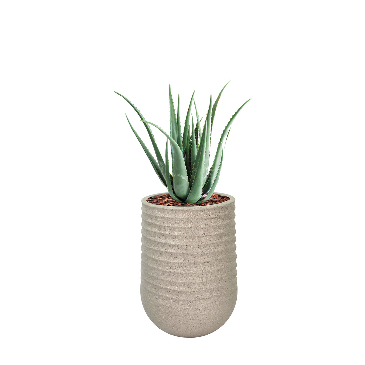 Artimis M Beige with Aloe - 70cm