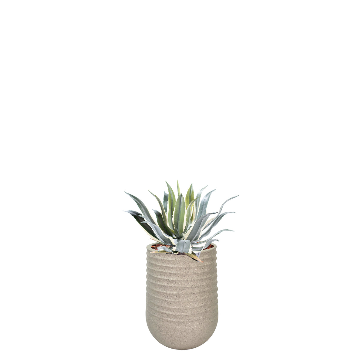 Artimis S Beige with Agave - 45cm