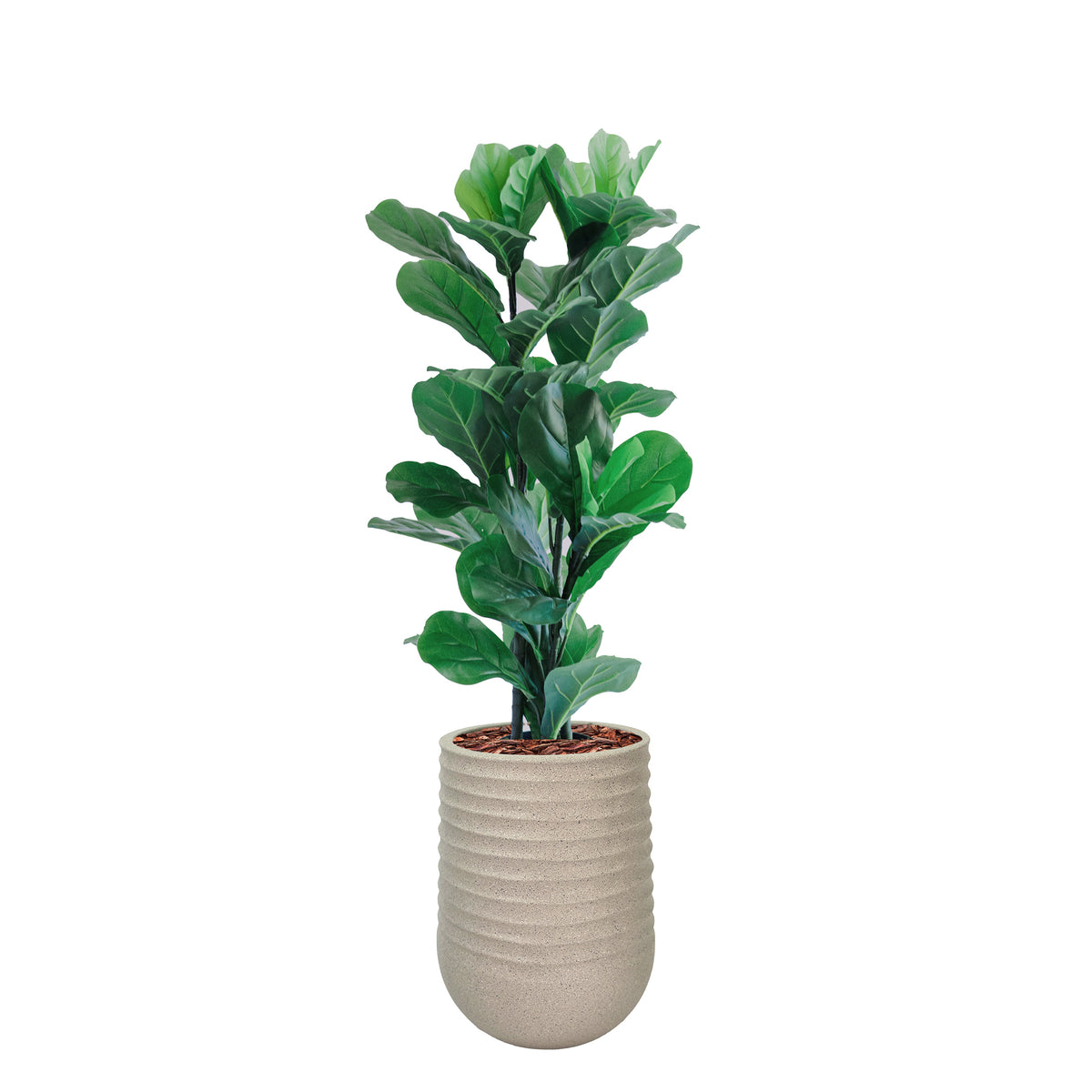 Artimis Small Beige with Fiddle Leaf Ficus - 90cm. Combination of polyresin pot with artificial plant. From Plant Couture.